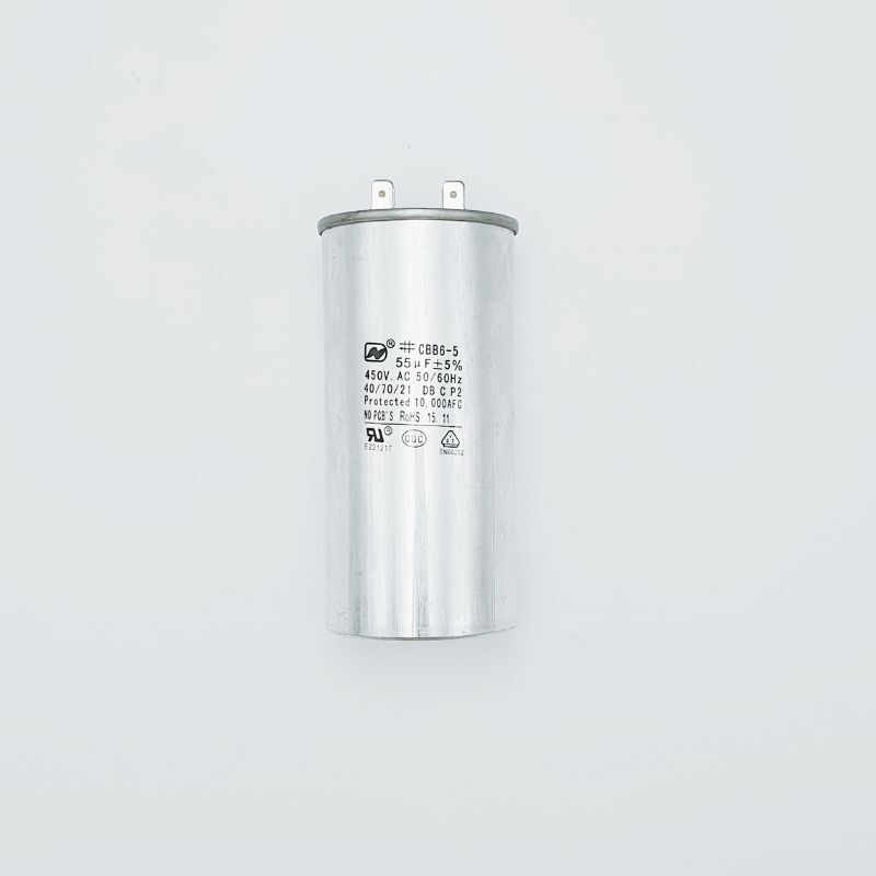 104553 3660231348578 CONDENSATEUR PAC 55MICROF VES10R WEB