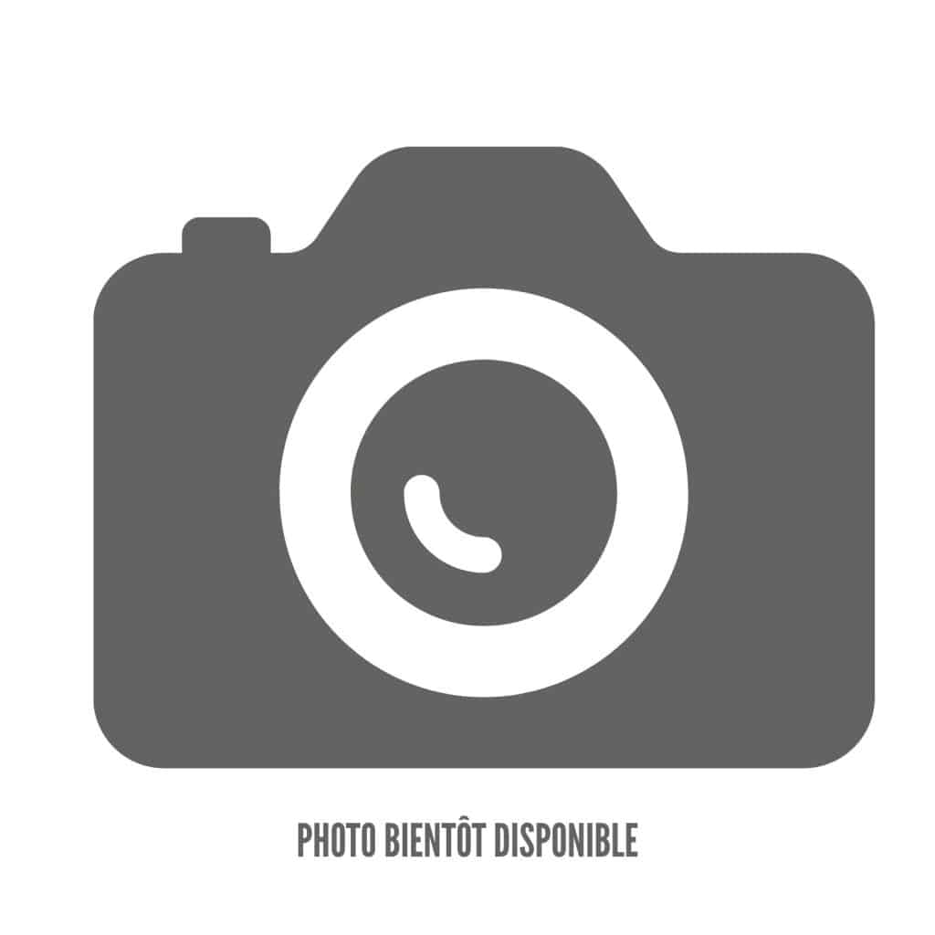 PICTO PHOTO BIENTÔT DISPONIBLE